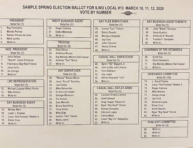 2020 Sample Spring Election Ballot